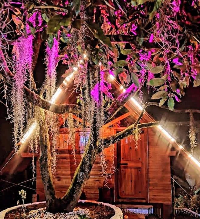 Cabanas La Miranda Филандиа Екстериор снимка
