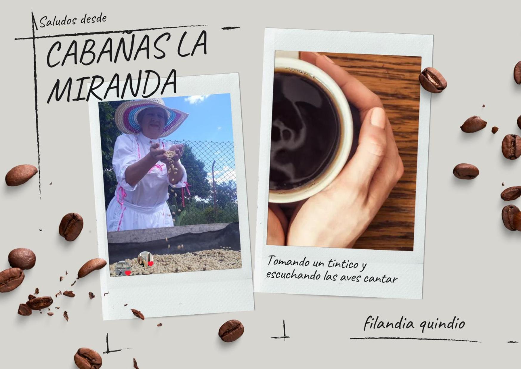 Cabanas La Miranda Филандиа Екстериор снимка